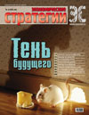 Экономические стратегии — 2006 · № 4, обложка выпуска